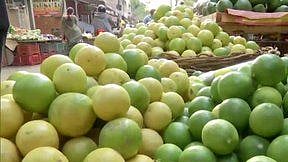 تصویر سوشل میڈیا