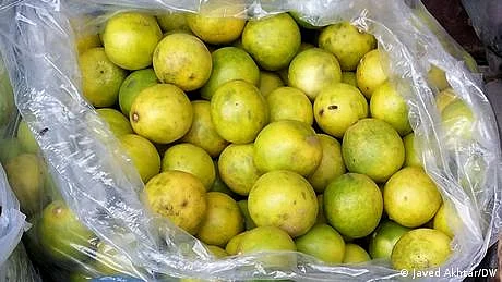 بھارت میں لیموں کی چوری کے واقعات زوروں پر، محافظ تعینات