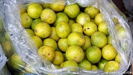 بھارت میں لیموں کی چوری کے واقعات زوروں پر، محافظ تعینات