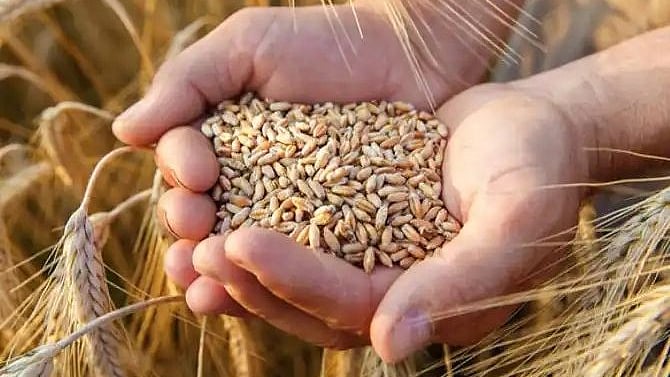 فائل تصویر آئی اے این ایس
