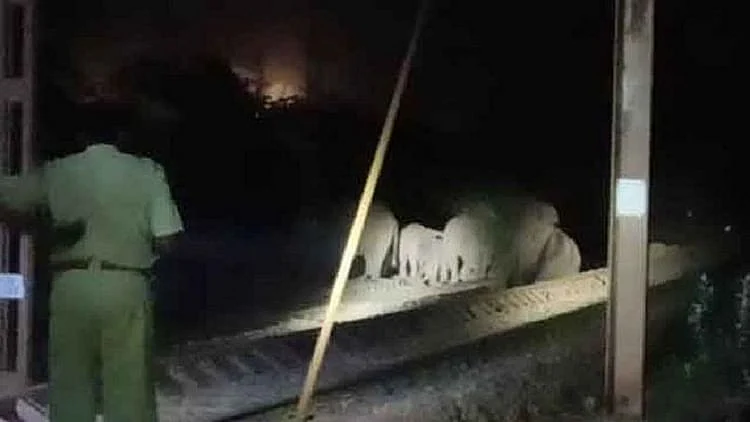 تصویر آئی اے این ایس