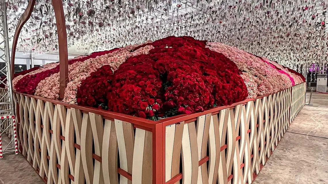 تصویر العربیہ ڈاٹ نیٹ