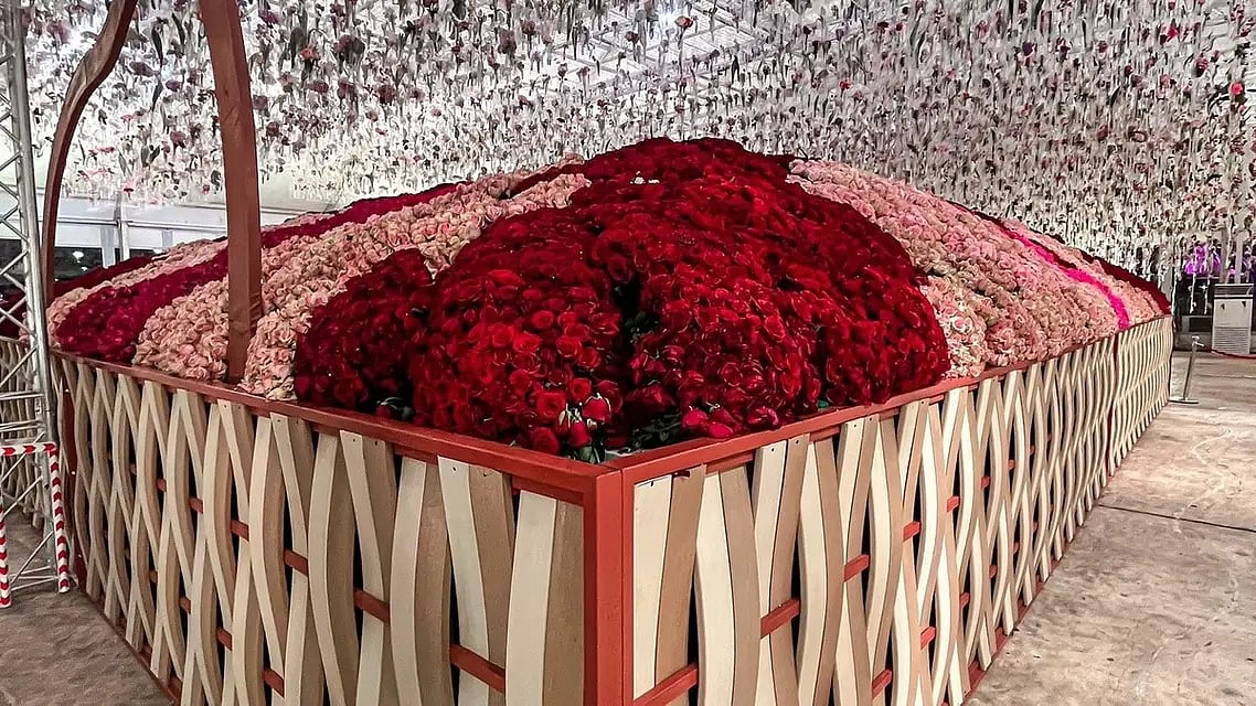 تصویر العربیہ ڈاٹ نیٹ