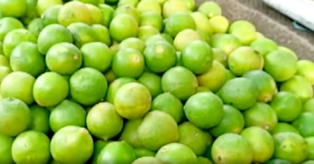 چوری کا حیرت انگیز واقعہ، ساری سبزیاں موجود لیکن 12 بوری لیموں غائب!