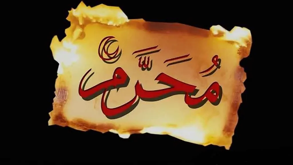 تصویر سوشل میڈیا