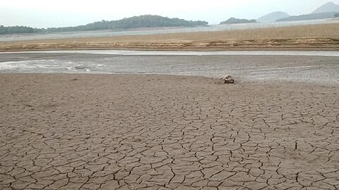 تصویر سوشل میڈیا