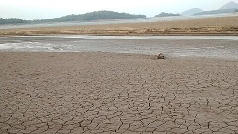 تصویر سوشل میڈیا