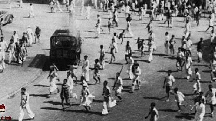 تصویر شاہد صدیقی علیگ