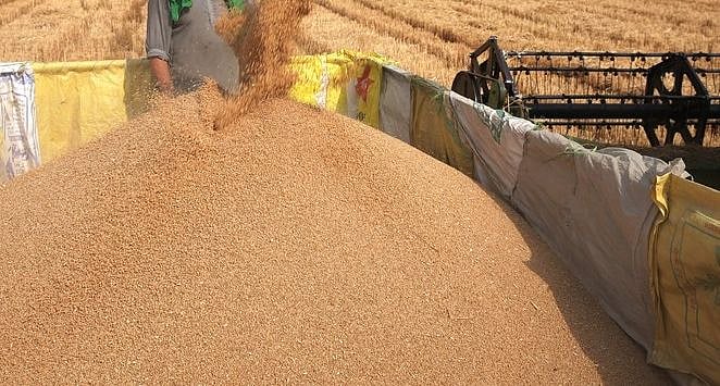 يوکرين، بحری راستوں سے گندم کی ترسیل کا سلسلہ شروع