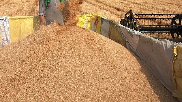 فائل علامتی تصویر آئی اے این ایس