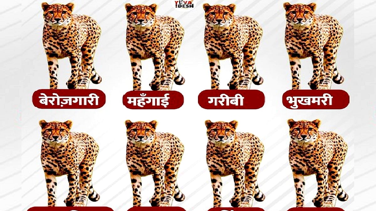 تصویر ٹوئٹر @srinivasiyc