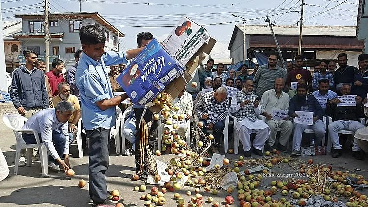 تصویر بذریعہ باسط زرگر