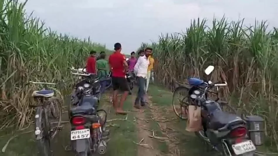 تصویر سوشل میڈیا