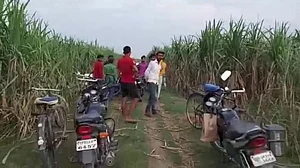 یوپی کے لکھیم پور میں درخت سے لٹکی ملی دو بہنوں کی لاشیں