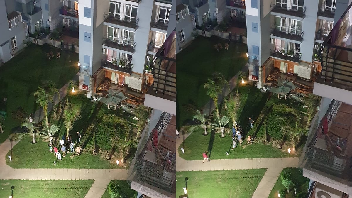تصویر آئی اے این ایس