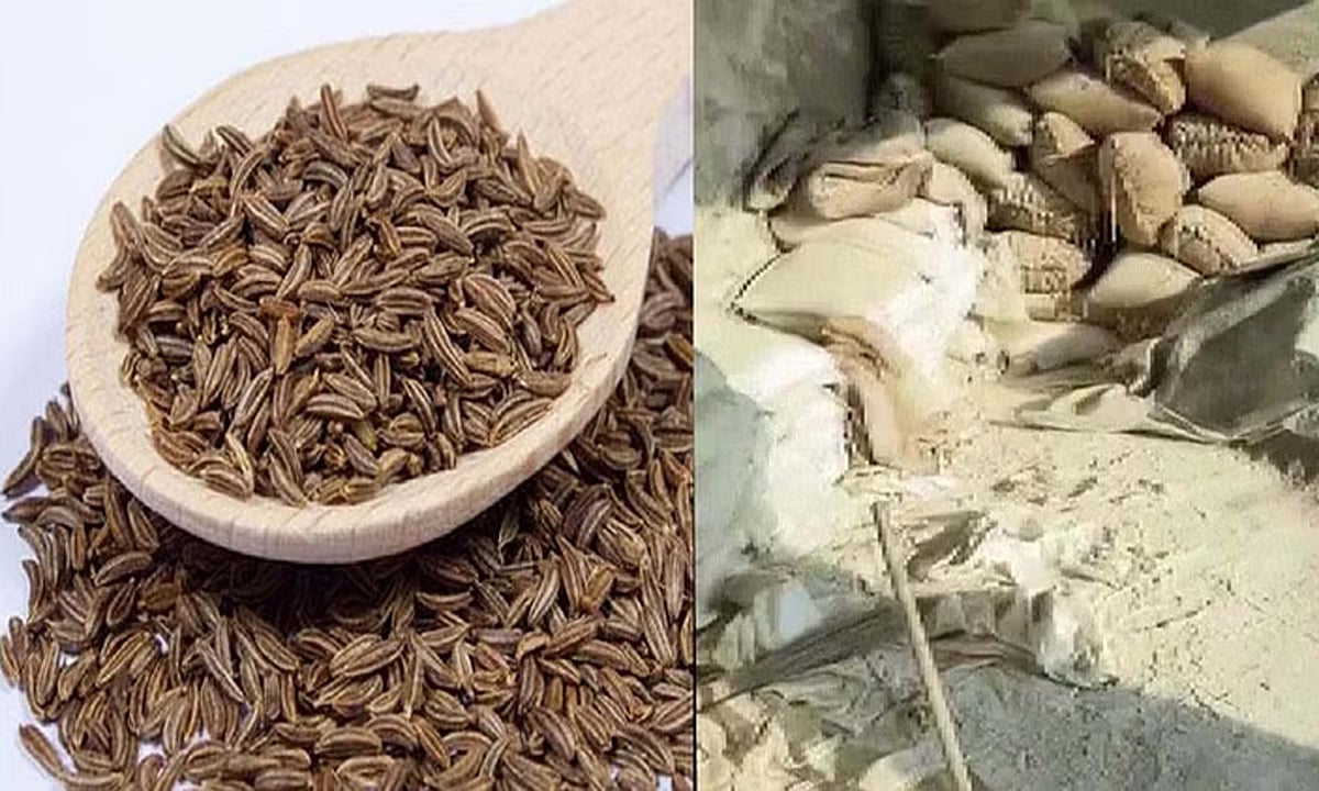 دہلی میں صحت عامہ سے کھلواڑ! گھاس، گڑ اور پتھر سے ’نقلی زیرہ‘ بنانے کی فیکٹری کا پردہ فاش