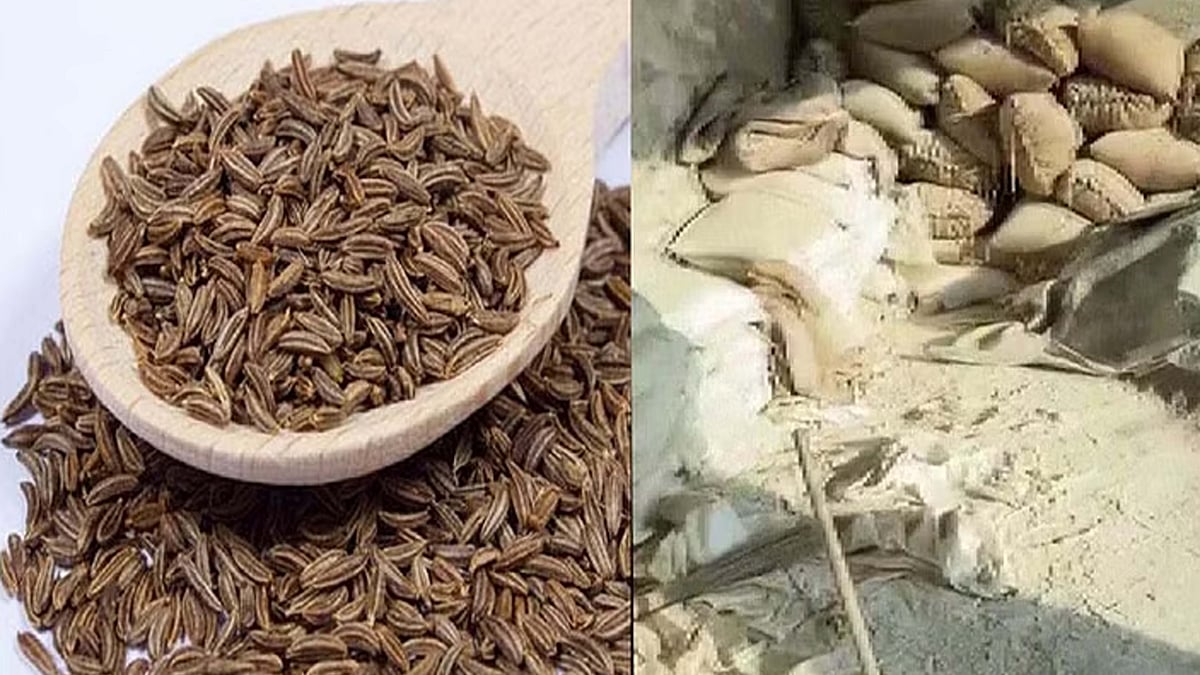 تصویر سوشل میڈیا