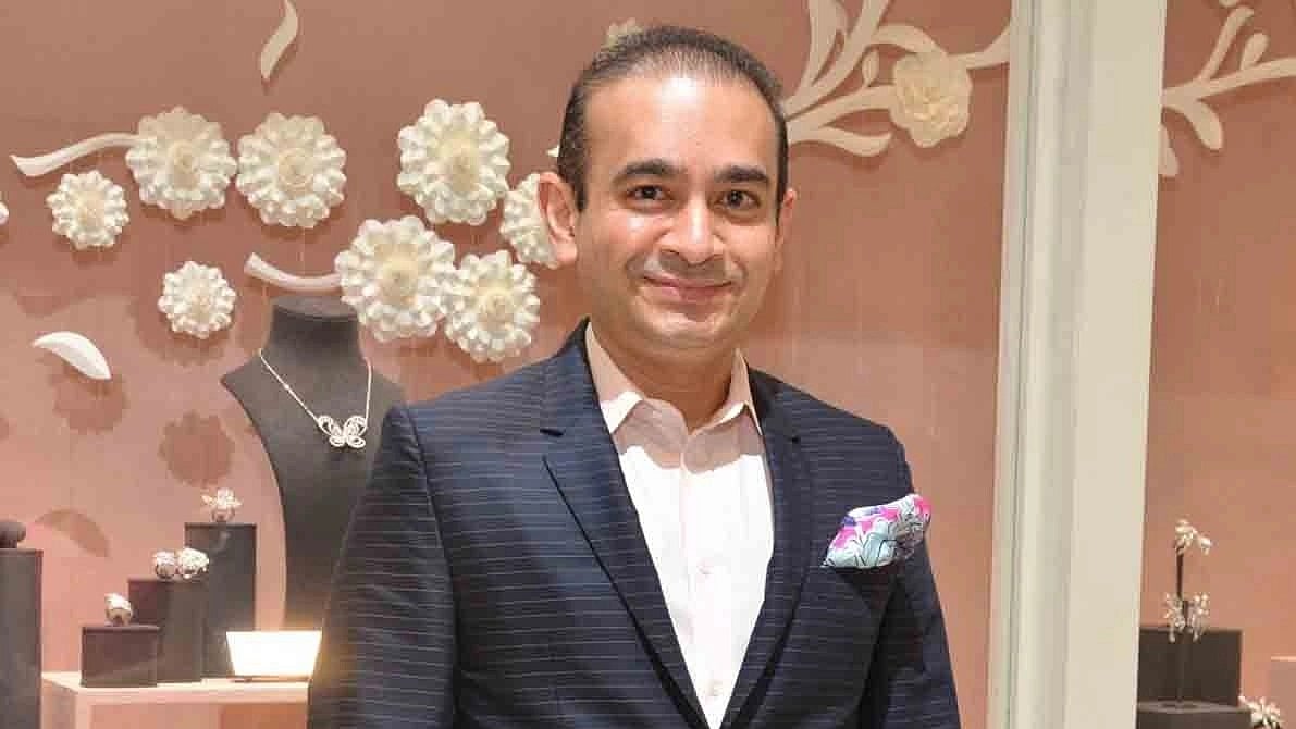 نیرو مودی، تصویر آئی اے این ایس