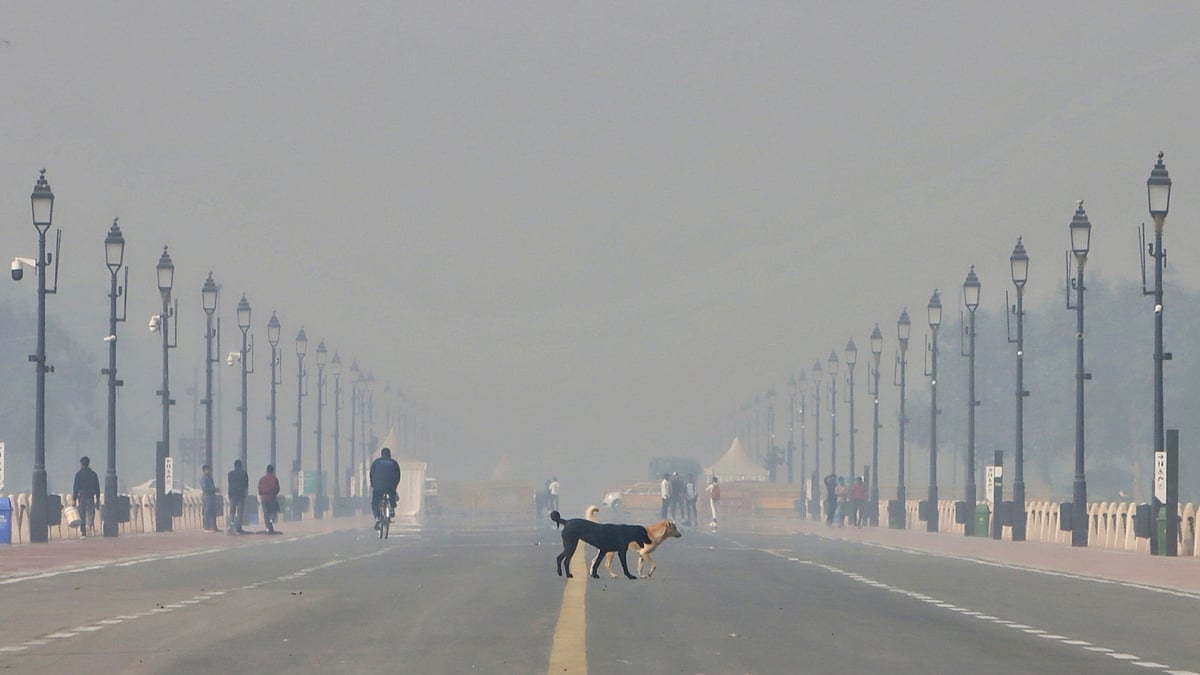 دہلی میں فضائی آلودگی/ تصویر آئی اے این ایس