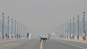 دیوالی پر دہلی کی فضا مزید خراب ہونے کا ڈر، پٹاخہ جلانے والوں پر سخت نظر