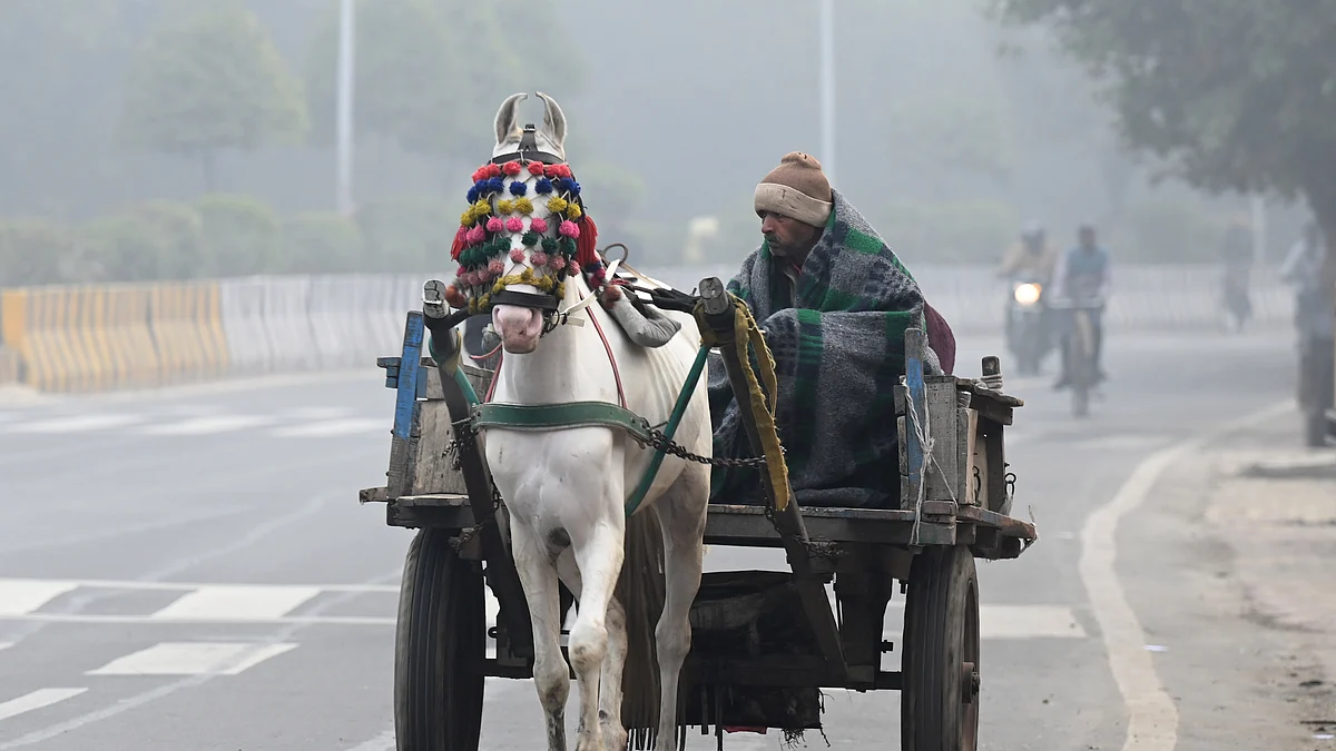 دہلی کی سردی / Getty Images