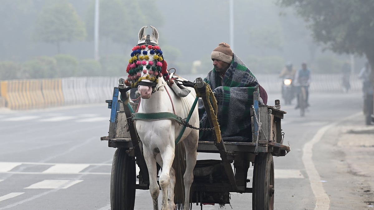 دہلی کی سردی / Getty Images