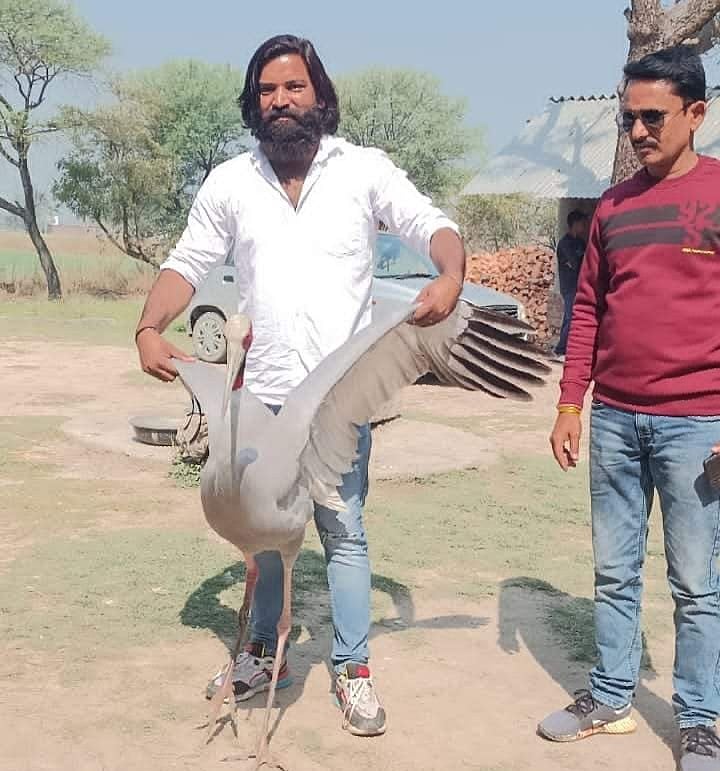 محمد عارف نے کانپور کے چڑیا خانہ میں دوست سارس سے کی ملاقات، جذباتی ویڈیو سوشل میڈیا پر وائرل
