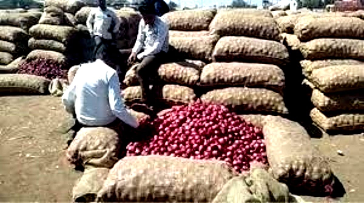 پیاز کی بے تحاشہ گری قیمتوں کے بعد بیدار ہوئی مودی حکومت، نیفیڈ-این سی سی ایف کو خصوصی ہدایات جاری