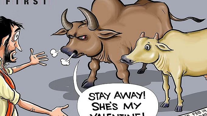 <div class="paragraphs"><p>تصویر سوشل میڈیا</p></div>