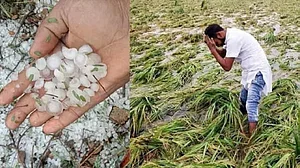 مدھیہ پردیش میں ژالہ باری کے ساتھ زوردار بارش، کسانوں کی فصلیں برباد، کانگریس کا حمایتی قیمت میں اضافہ کا مطالبہ