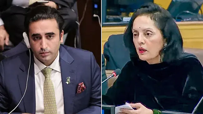 <div class="paragraphs"><p>تصویر سوشل میڈیا</p></div>
