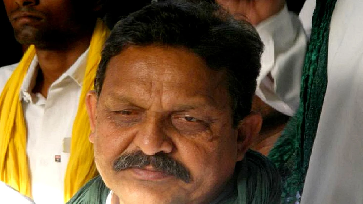 <div class="paragraphs"><p>افضال انصاری، تصویر آئی اے این ایس</p></div>