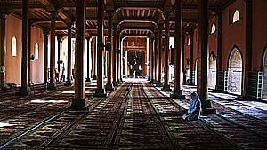 <div class="paragraphs"><p>آئی اے این ایس</p></div>