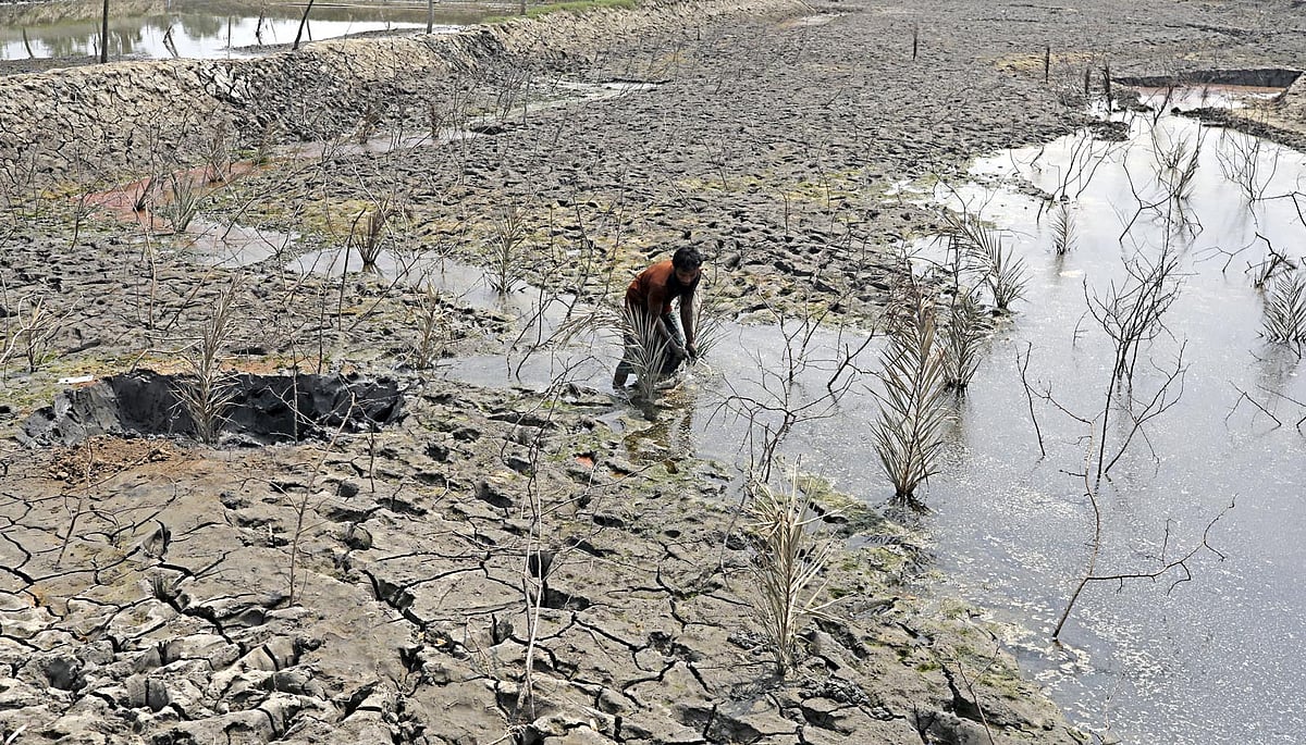 گلوبل وارمنگ کے تباہ کن اثرات: ہندوستان و پاکستان میں طوفان، کینیڈا کے جنگلات میں آگ