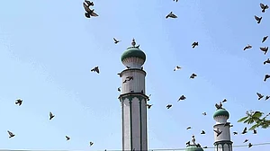 مسجد میں داخلے پر پابندی کے خلاف مسلم فریق کی بمبئی ہائی کورٹ میں دستک