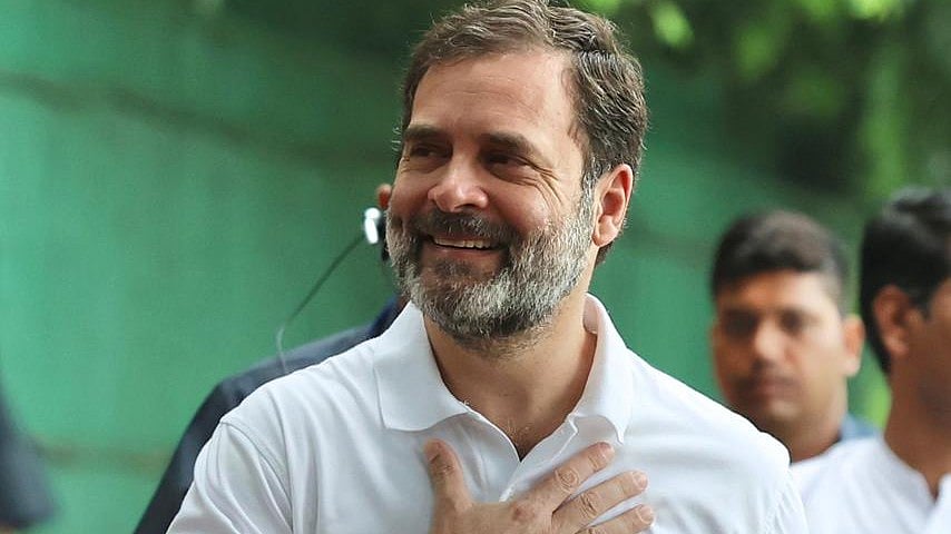 <div class="paragraphs"><p>راہل گاندھی، تصویر @INCIndia</p></div>