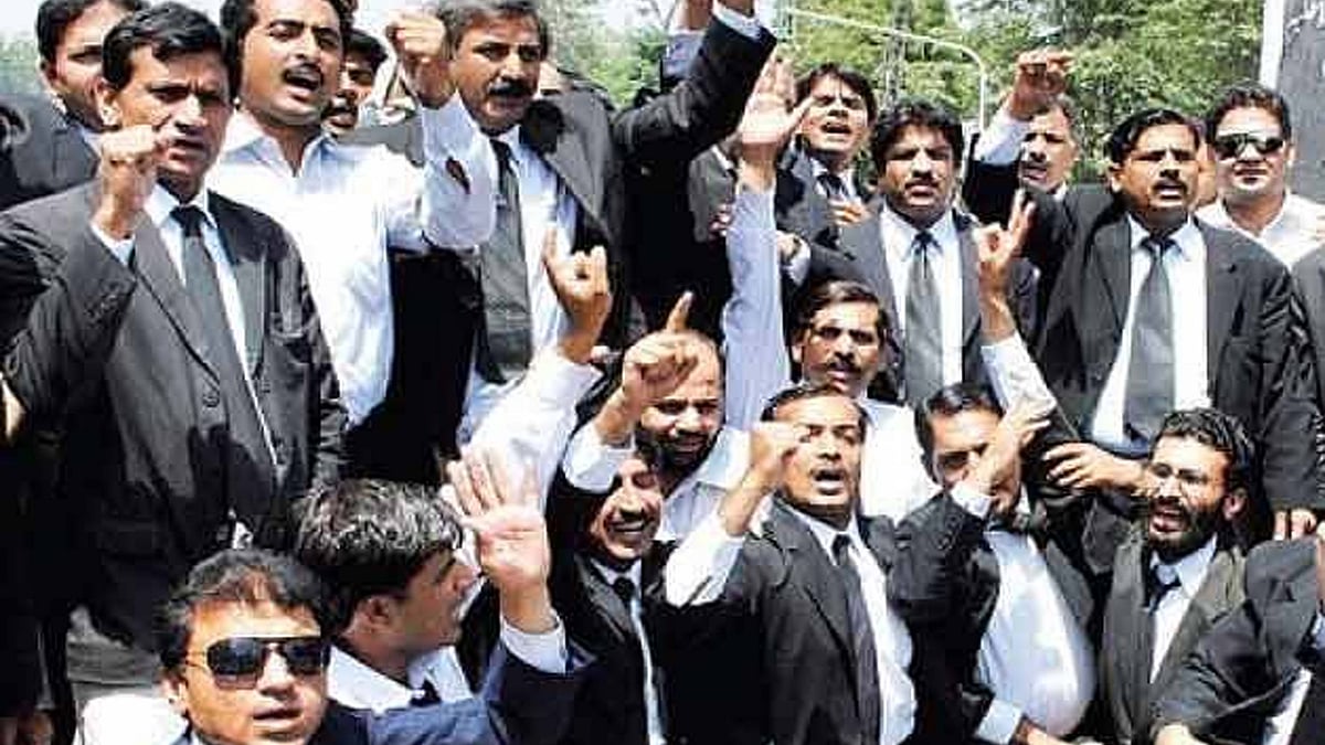 <div class="paragraphs"><p>تصویر سوشل میڈیا</p></div>