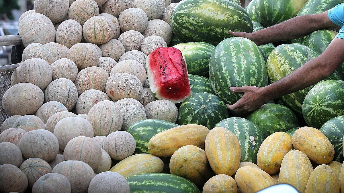 پاکستان میں افغانستان سے آنے والی اشیائے خورد و نوش کی درآمدات روک دی گئی