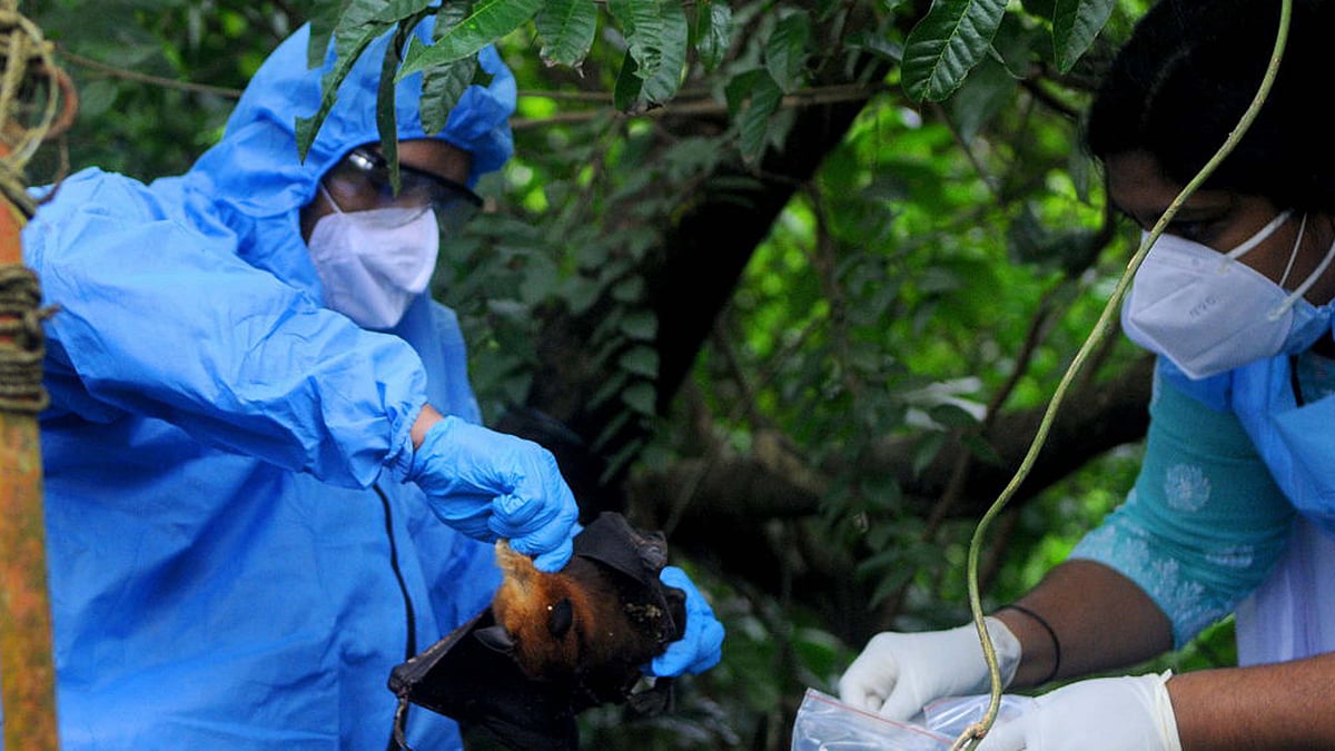 <div class="paragraphs"><p>نپاہ وائرس / Getty Images</p></div>