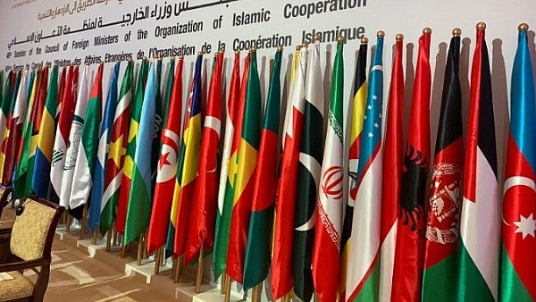 او آئی سی کا اسرائیلی کی ’غیر انسانی جارحیت‘ کو فوری روکنے کا مطالبہ