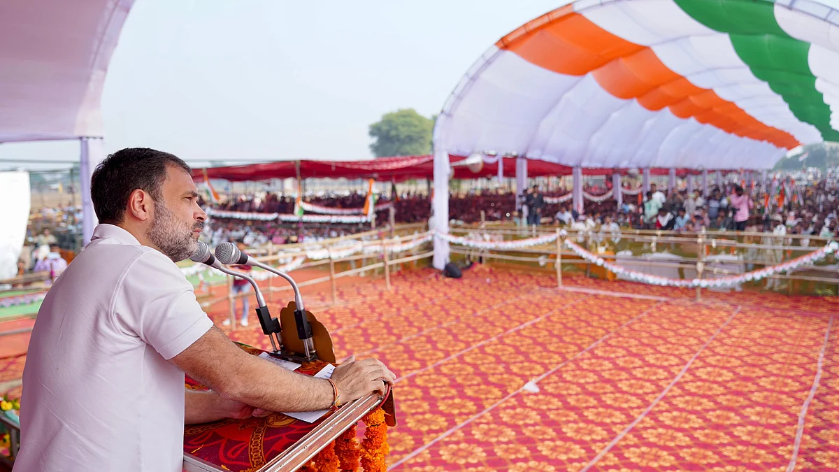 <div class="paragraphs"><p>راہل گاندھی، تصویر @INCIndia</p></div>