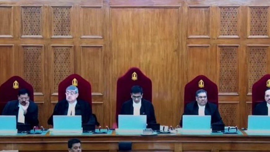 <div class="paragraphs"><p>تصویر سوشل میڈیا</p></div>