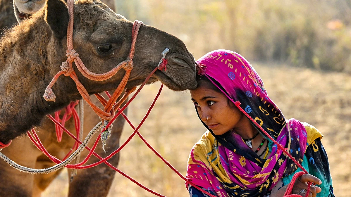 <div class="paragraphs"><p>فائل علامتی تصویر آئی اے این ایس</p></div>