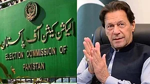 <div class="paragraphs"><p>تصویر سوشل میڈیا</p></div>