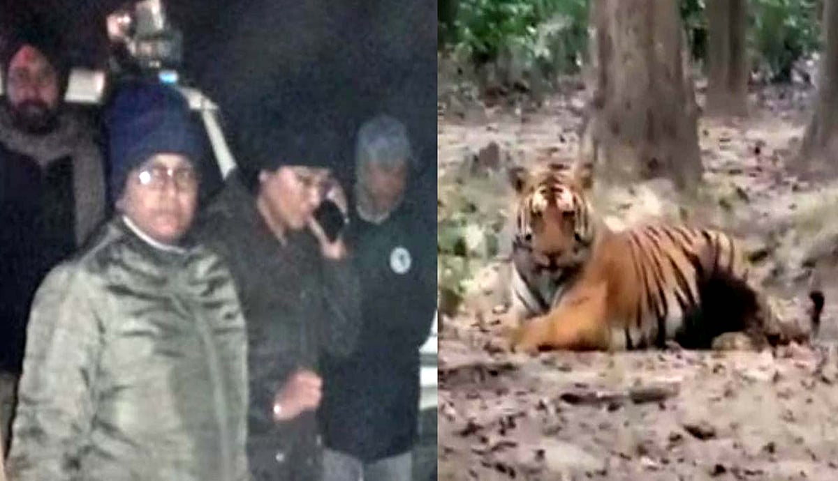 بجنور: بن گوجر خاندانوں پر آدم خور باگھ کا خطرہ، گلدار کے بعد ایک نئی دہشت!