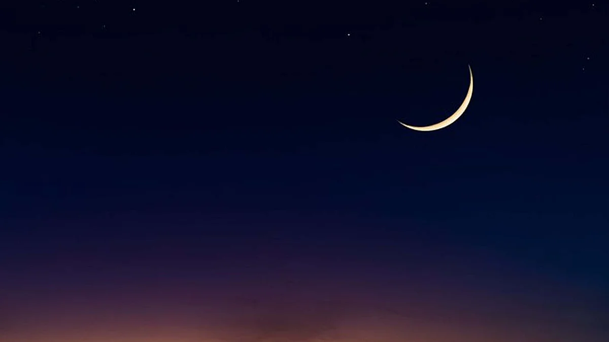 <div class="paragraphs"><p>ہلال، تصویر سوشل میڈیا</p></div>