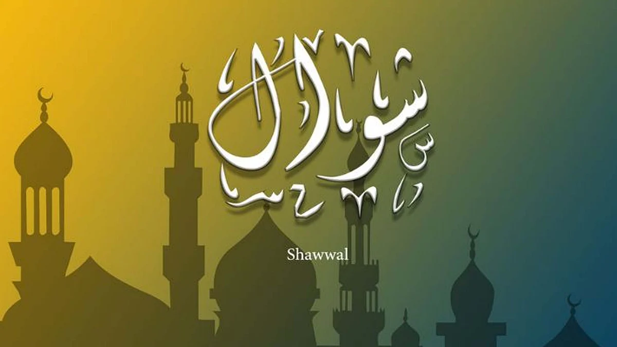 <div class="paragraphs"><p>شوال</p></div>