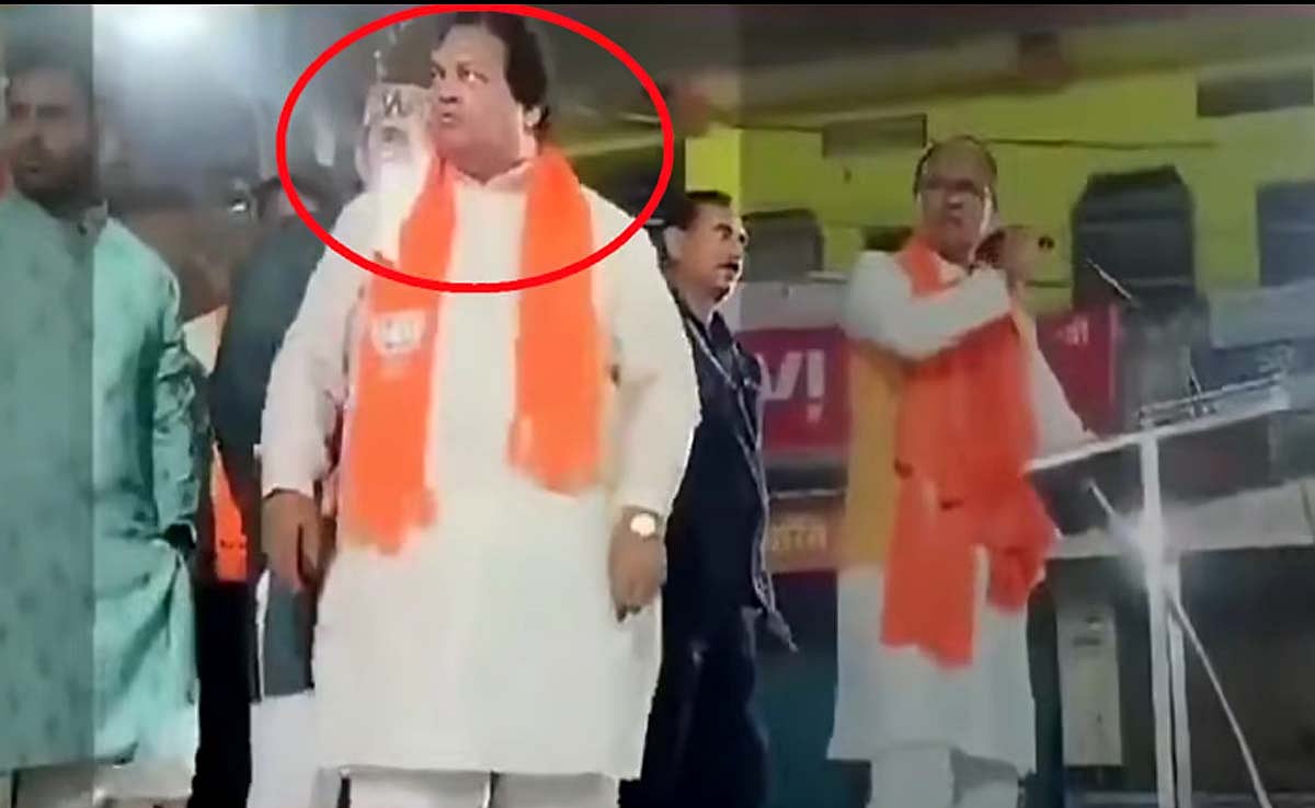 لوک سبھا انتخابات: تشہیر ختم ہونے پر مائیک بند کرنے کو کہا تو پولیس افسر پر بھڑکے بی جے پی رکن اسمبلی، تبادلہ کی دھمکی