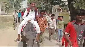 بھینس پر سوار ہو کر پرچۂ نامزدگی داخل کرنے نکلا امیدوار، پیچھے مڑ کر دیکھا تو تجویز کرنے والے ہی غائب!