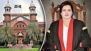 <div class="paragraphs"><p>تصویر سوشل میڈیا</p></div>